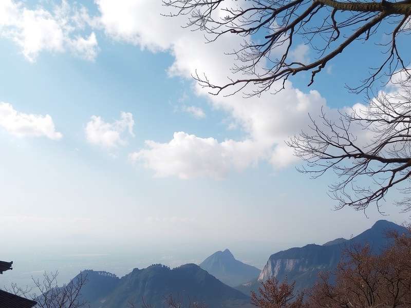 勐原茶叶生态茶园